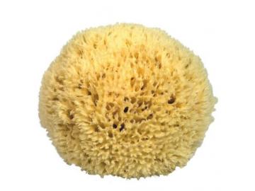 Naturschwamm medium (ca 14cm)